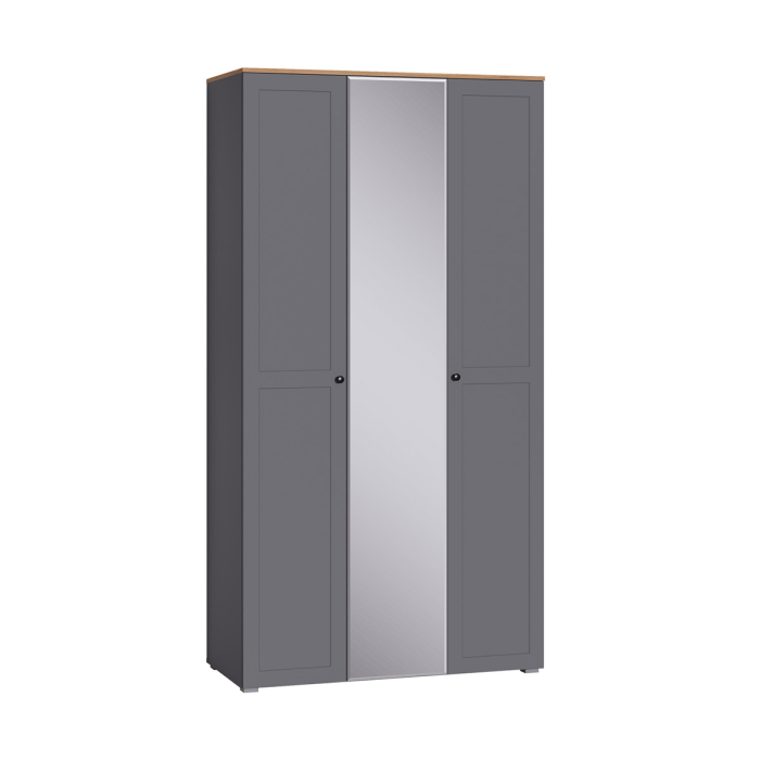 Для одежды, Шкаф для одежды Остин 13.336.03, серый графит, дуб золотой крафт