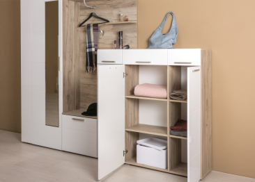 Шкаф для одежды Лайн 08.122