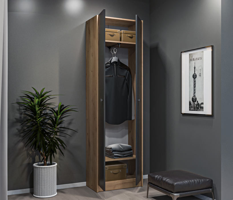 Шкафы распашные, Шкаф 2 дверный Сидней СБ-2588 Дуб дикий/Диамант серый