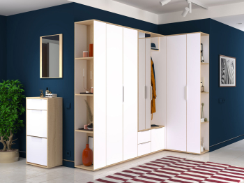 Шкаф для одежды Куба 13.136