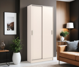 Шкаф-купе 2-х дверный Терра СБ-2545