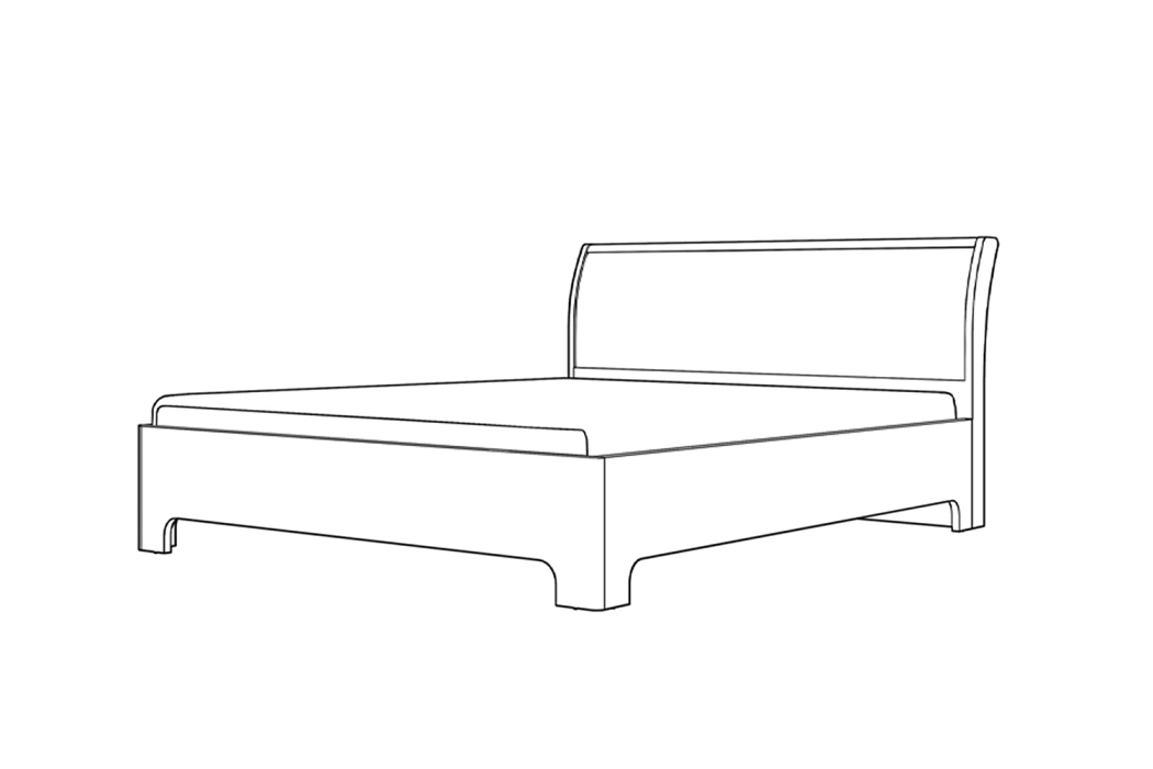 Кровати с мягким изголовьем, Кровать-3 с ортопедическим основанием Парма НЕО, 1600, лиственница темная, экокожа дила	