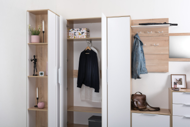 Шкаф для одежды Куба 13.136